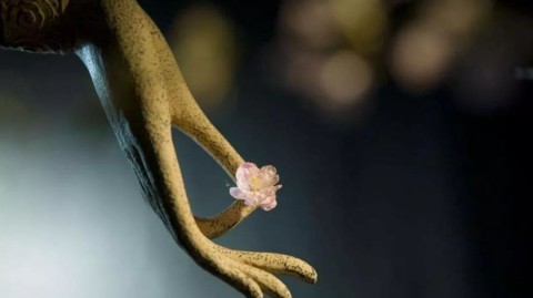 失恋后总是放不下？5个实用方法帮你走出牛角尖