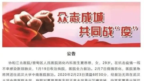 29岁女性如何破解情感隔离？实用自救指南