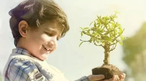 26岁男生面对父母的爱恨交织，如何走出情感困境？