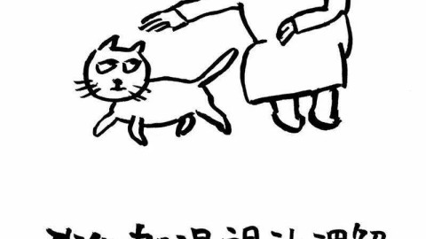 为什么我们渴望被理解，却总是不敢敞开心扉？