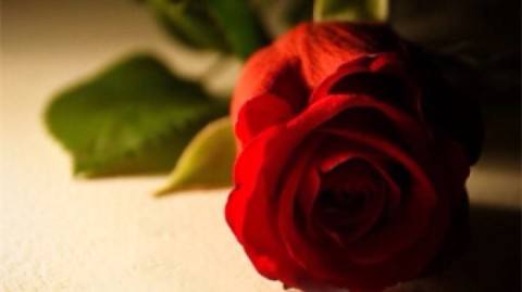 觉得已放下，但没事想到他，内心和理智好像有分歧？