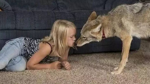 从小爱动物到长大想冲突：我的情感挣扎背后