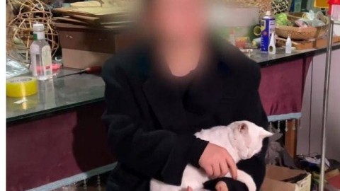 虐猫事件升级：老人无辜收花圈，网络暴力边界何在？