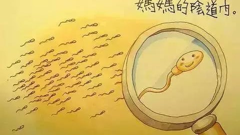 儿童性教育指南：如何从零岁开始分阶段正确引导