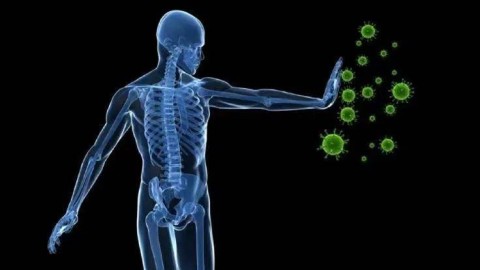 颅相学：头骨形状如何揭示你的性格秘密？