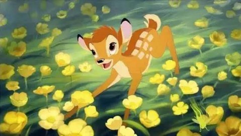 小鹿的成长故事：童年与成年的美丽蜕变