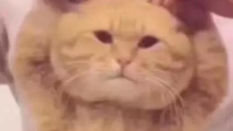 他是真的有问题，还是我为了说服自己而产生的偏见？